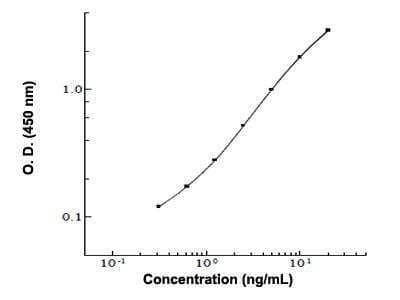 ELISA: Human, Monkey Complement C5 ELISA Kit (Colorimetric) [KA2114]