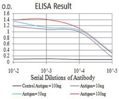 ELISA: Complement Component C1qC Antibody (4H9D7) - BSA Free [NBP2-61867]