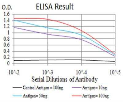 ELISA: Complement Factor H-related 5/CFHR5 Antibody (3A10A5) - BSA Free [NBP2-52441]