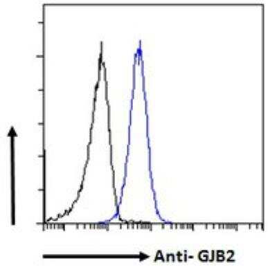 Flow Cytometry: Connexin 26/GJB2 Antibody [NB100-57840]