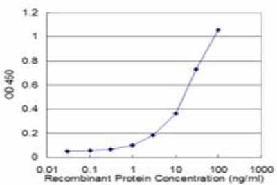 ELISA: Connexin 32/GJB1 Antibody (1F5) [H00002705-M08]