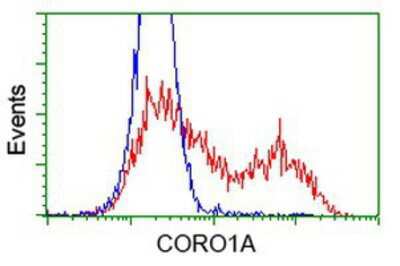 Flow Cytometry: Coronin-1a Antibody (OTI1A5) [NBP2-02779]