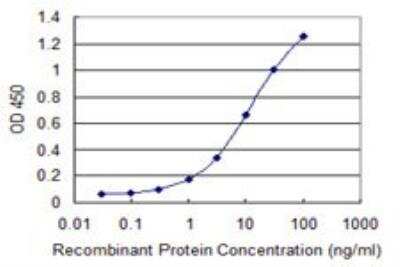 ELISA: Coronin 3 Antibody (1F7) [H00023603-M02]