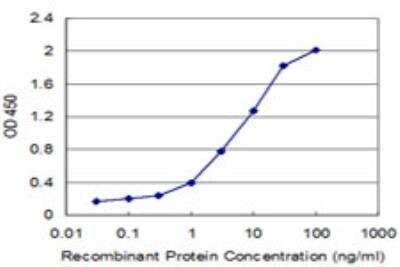 ELISA: Creatine kinase MT 1B Antibody (2C8) [H00001159-M04]