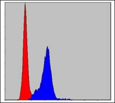 Flow Cytometry: Crk Antibody (3G11E8) - BSA Free [NBP2-37568]
