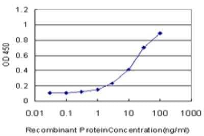 ELISA: CrkL Antibody (4B5) [H00001399-M03]