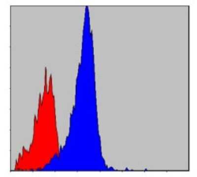 Flow Cytometry: CrkL Antibody (5E12) - BSA Free [NBP2-37586]