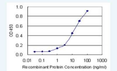 ELISA: CtBP1 Antibody (2G11) [H00001487-M04-100ug]