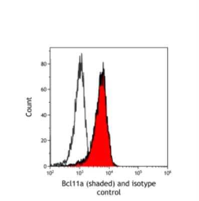 Flow Cytometry: Ctip1 Antibody (BLR073G) [NBP2-78710]