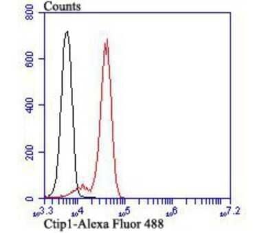 Flow Cytometry: Ctip1 Antibody (JB35-68) [NBP2-75455]