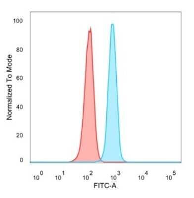 Flow Cytometry: Ctip1 Antibody (PCRP-BCL11A-1H3) [NBP3-13738]