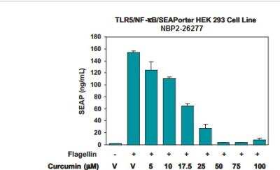 Ligand Activation: Curcumin [NBP2-26243]
