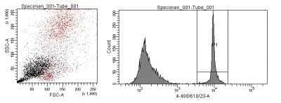 Flow Cytometry: CyTRAK Orange (TM) [NBP2-81127]