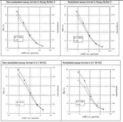 ELISA: Cyclic AMP ELISA Kit (Colorimetric) [KA0320]