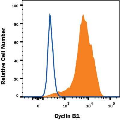 Flow Cytometry: Cyclin B1 Antibody (2061A) - Azide and BSA Free [MAB6000]