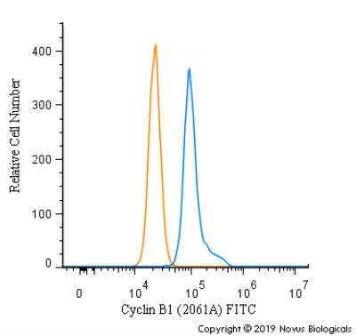 Flow Cytometry: Cyclin B1 Antibody (2061A) - Azide and BSA Free [MAB6000]