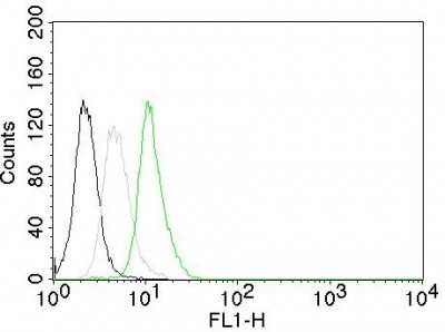 Flow Cytometry: Cyclin D1 Antibody (CCND1/809) [NBP2-44586]