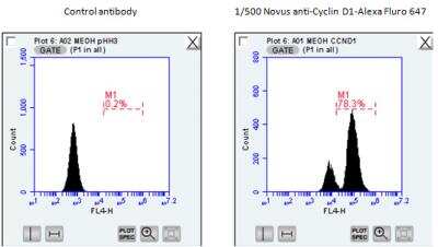 Flow Cytometry: Cyclin D1 Antibody (DCS-6) - Azide and BSA Free [NBP2-33138]