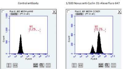 Flow Cytometry: Cyclin D1 Antibody (DCS-6) [NBP2-15189]