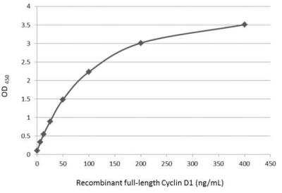 ELISA: Cyclin D1 Antibody [NBP2-16054]