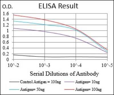 ELISA: Cyclin E1 Antibody (5F8C5) - BSA Free [NBP2-37247]