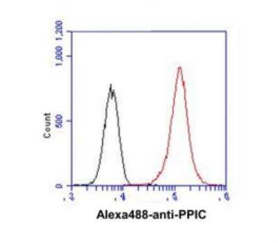 Flow Cytometry: Cyclophilin C Antibody (3C6) - BSA Free [NBP1-97946]