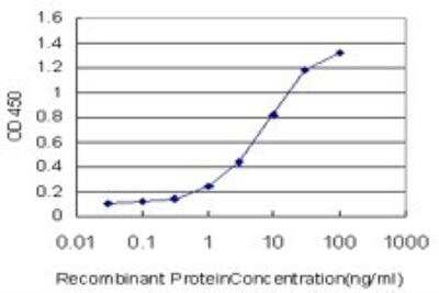 ELISA: Cyclophilin-E Antibody (2F5) [H00010450-M02]