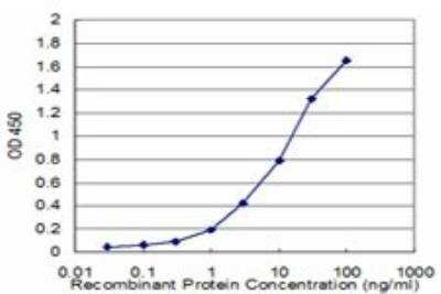 ELISA: Cystathionase Antibody (4E1-1B7) [H00001491-M01]