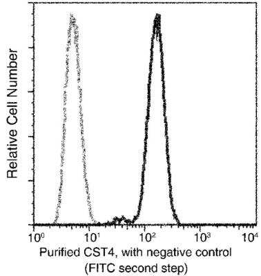 Flow Cytometry: Cystatin S Antibody (006) [NBP2-89913]