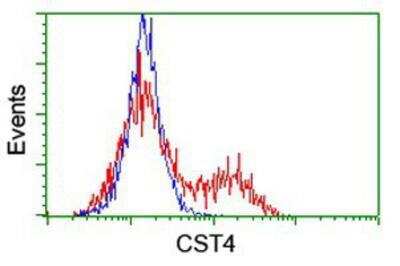 Flow Cytometry: Cystatin S Antibody (OTI2H10) [NBP2-01656]