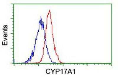 Flow Cytometry: Cytochrome P450 17A1 Antibody (OTI3F11) [NBP2-01151]