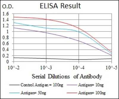 ELISA: Cytochrome P450 1A1 Antibody (6G5) - BSA Free [NBP2-37526]