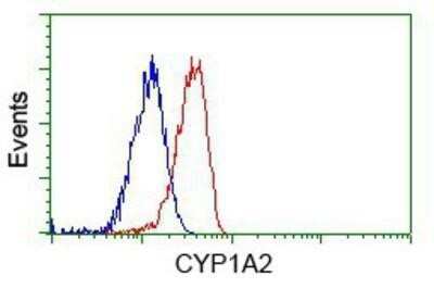 Flow Cytometry: Cytochrome P450 1A2 Antibody (OTI8F1) - Azide and BSA Free [NBP2-70518]