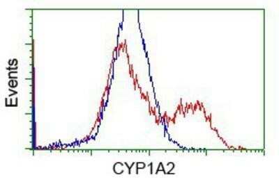 Flow Cytometry: Cytochrome P450 1A2 Antibody (OTI8F1) - Azide and BSA Free [NBP2-70518]