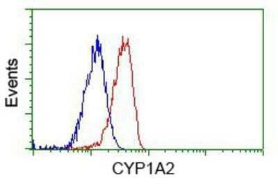 Flow Cytometry: Cytochrome P450 1A2 Antibody (OTI8F1) [NBP2-02563]
