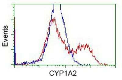 Flow Cytometry: Cytochrome P450 1A2 Antibody (OTI8F1) [NBP2-02563]