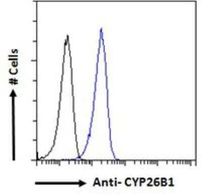 Flow Cytometry: Cytochrome P450 26B1 Antibody [NB100-53810]