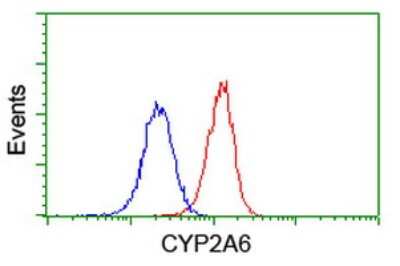 Flow Cytometry: Cytochrome P450 2A6 Antibody (OTI1D2) [NBP2-01437]