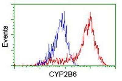 Flow Cytometry: Cytochrome P450 2B6 Antibody (OTI3D5) [NBP2-01800]