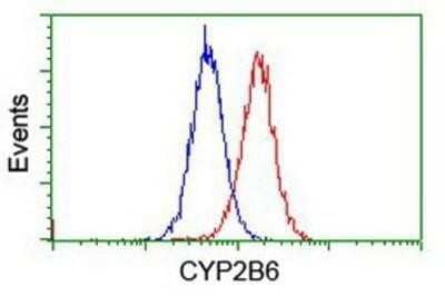 Flow Cytometry: Cytochrome P450 2B6 Antibody (OTI3D5) - Azide and BSA Free [NBP2-70526]