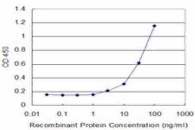 ELISA: Cytochrome P450 2D6 Antibody (2C5) [H00001565-M07]