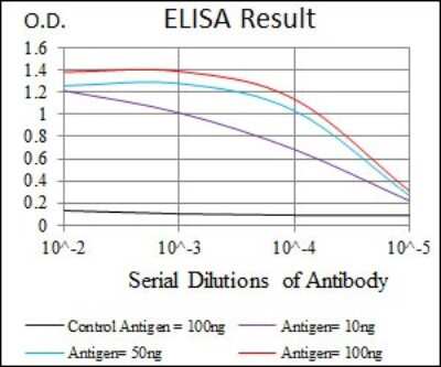 ELISA: Cytochrome P450 3A4 Antibody (3H8) - BSA Free [NBP2-37502]
