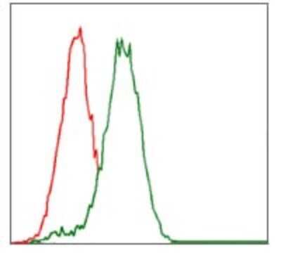 Flow Cytometry: Cytochrome P450 3A4 Antibody (3H8) - BSA Free [NBP2-37502]