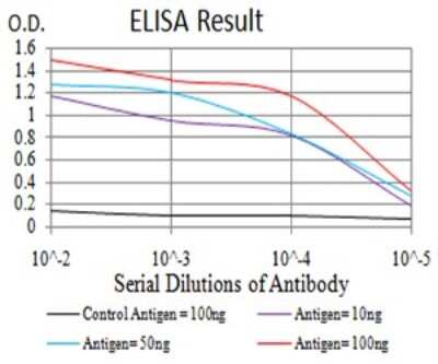 ELISA: Cytokeratin 10 Antibody (3C2F5) - BSA Free [NBP2-61736]
