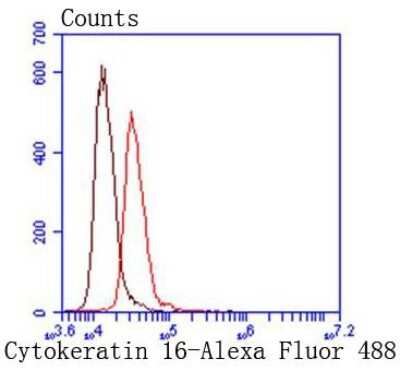 Flow Cytometry: Cytokeratin 16 Antibody (SC52-09) [NBP2-67559]