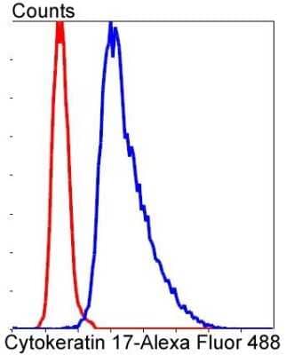 Flow Cytometry: Cytokeratin 17/36 Antibody (SR45-06) [NBP2-67318]