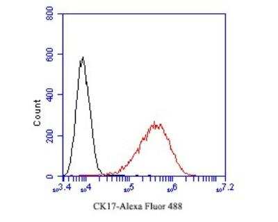 Flow Cytometry: Cytokeratin 17 Antibody (A2B10) [NBP2-89123]