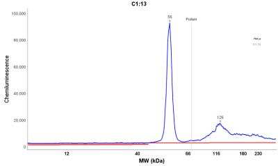 Simple Western: Cytokeratin 18 Antibody (DA7) [NBP2-29409]