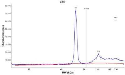 Simple Western: Cytokeratin 18 Antibody (DC10)Azide and BSA Free [NBP2-33082]