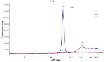 Simple Western: Cytokeratin 18 Antibody (DC10) [NBP2-29461]